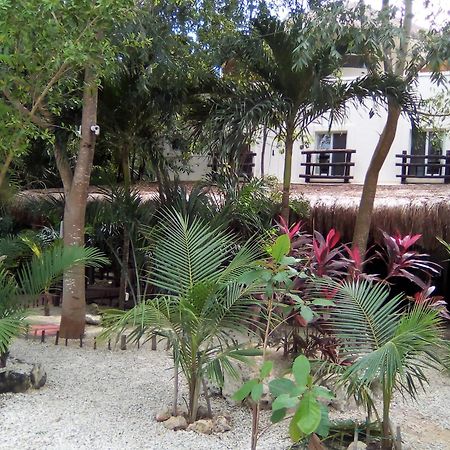 Lunah Xcacel Suites Chemuyil المظهر الخارجي الصورة