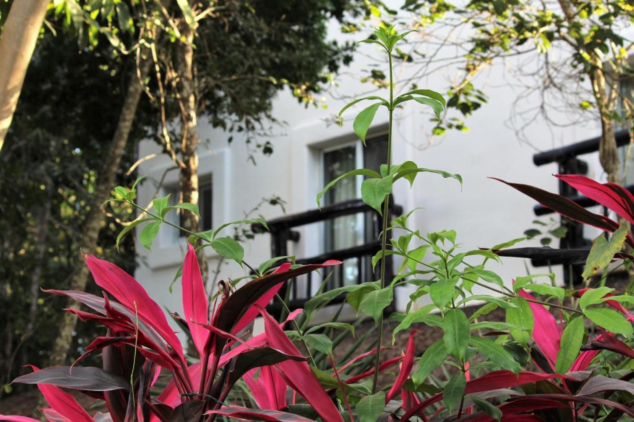 Lunah Xcacel Suites Chemuyil المظهر الخارجي الصورة