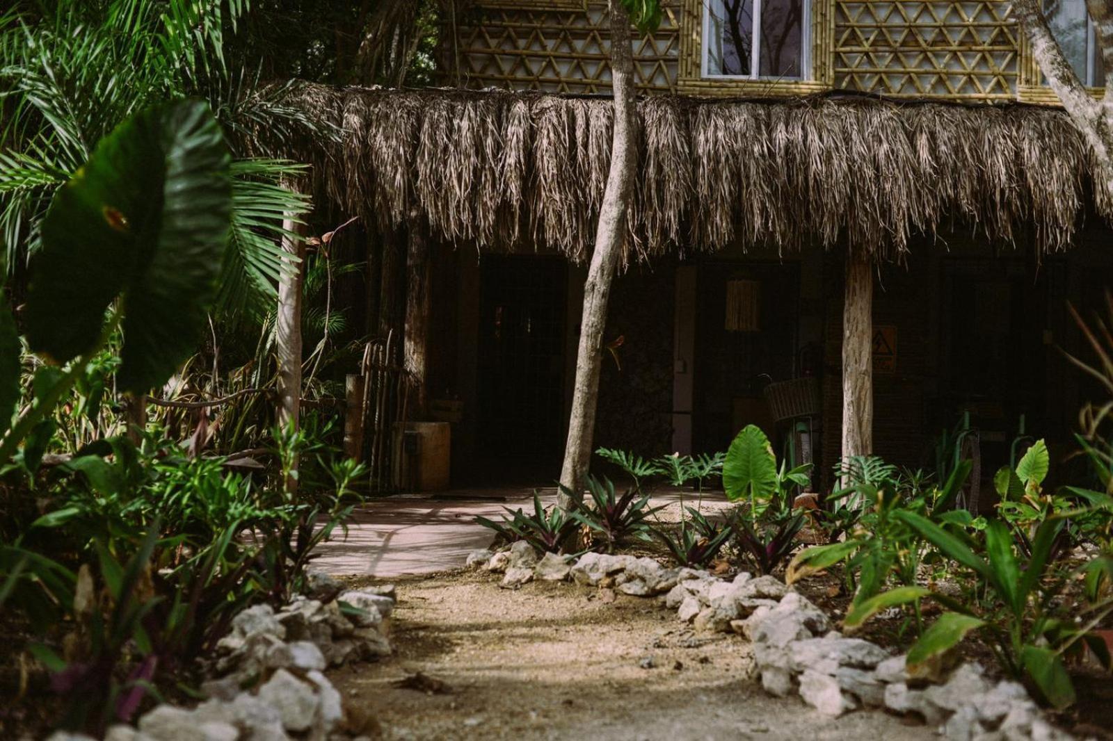 Lunah Xcacel Suites Chemuyil المظهر الخارجي الصورة